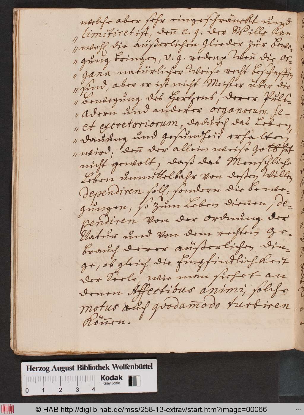 http://diglib.hab.de/mss/258-13-extrav/00066.jpg