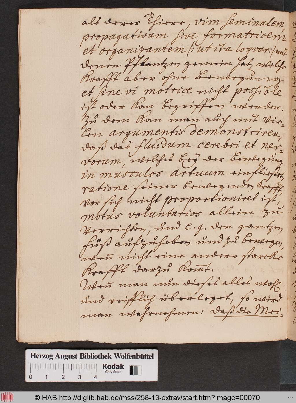 http://diglib.hab.de/mss/258-13-extrav/00070.jpg