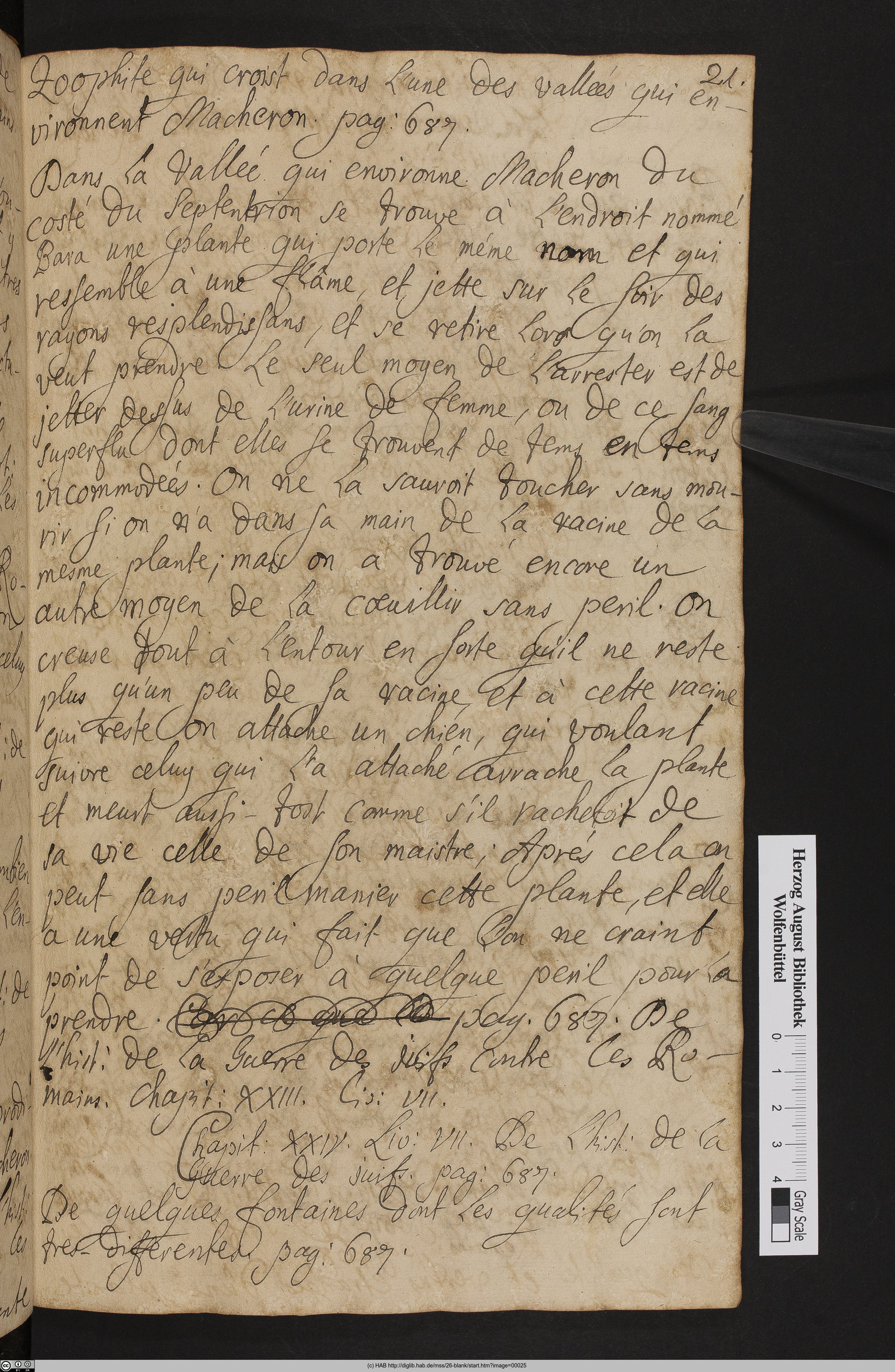 http://diglib.hab.de/mss/26-blank/max/00025.jpg