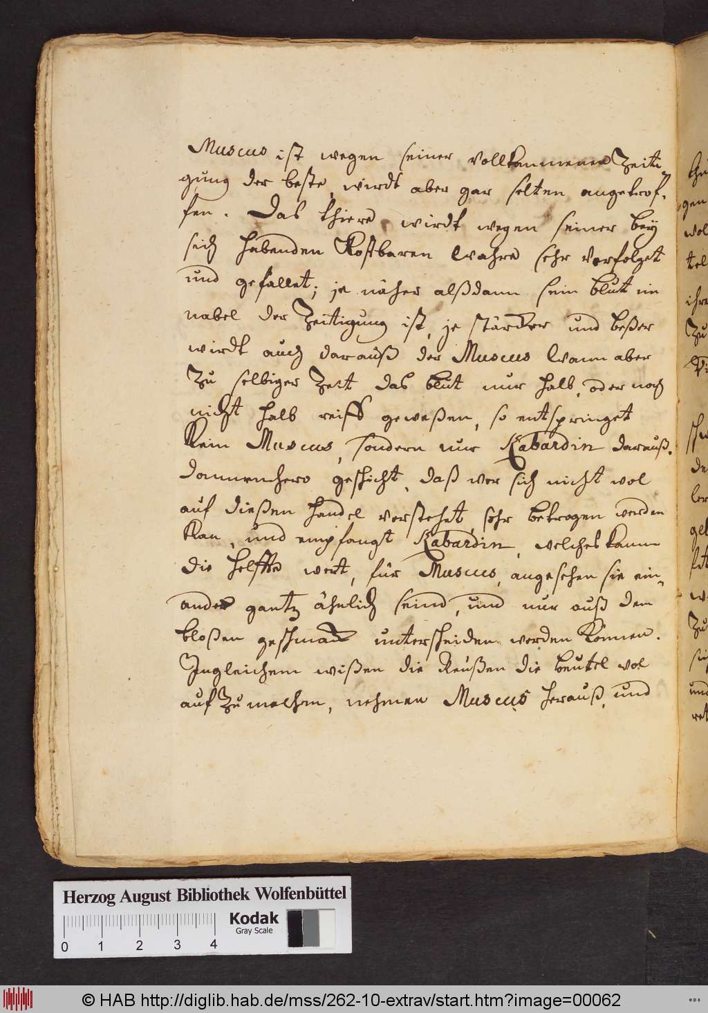 http://diglib.hab.de/mss/262-10-extrav/00062.jpg