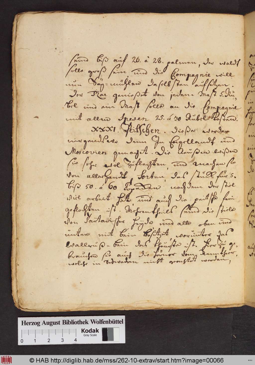 http://diglib.hab.de/mss/262-10-extrav/00066.jpg