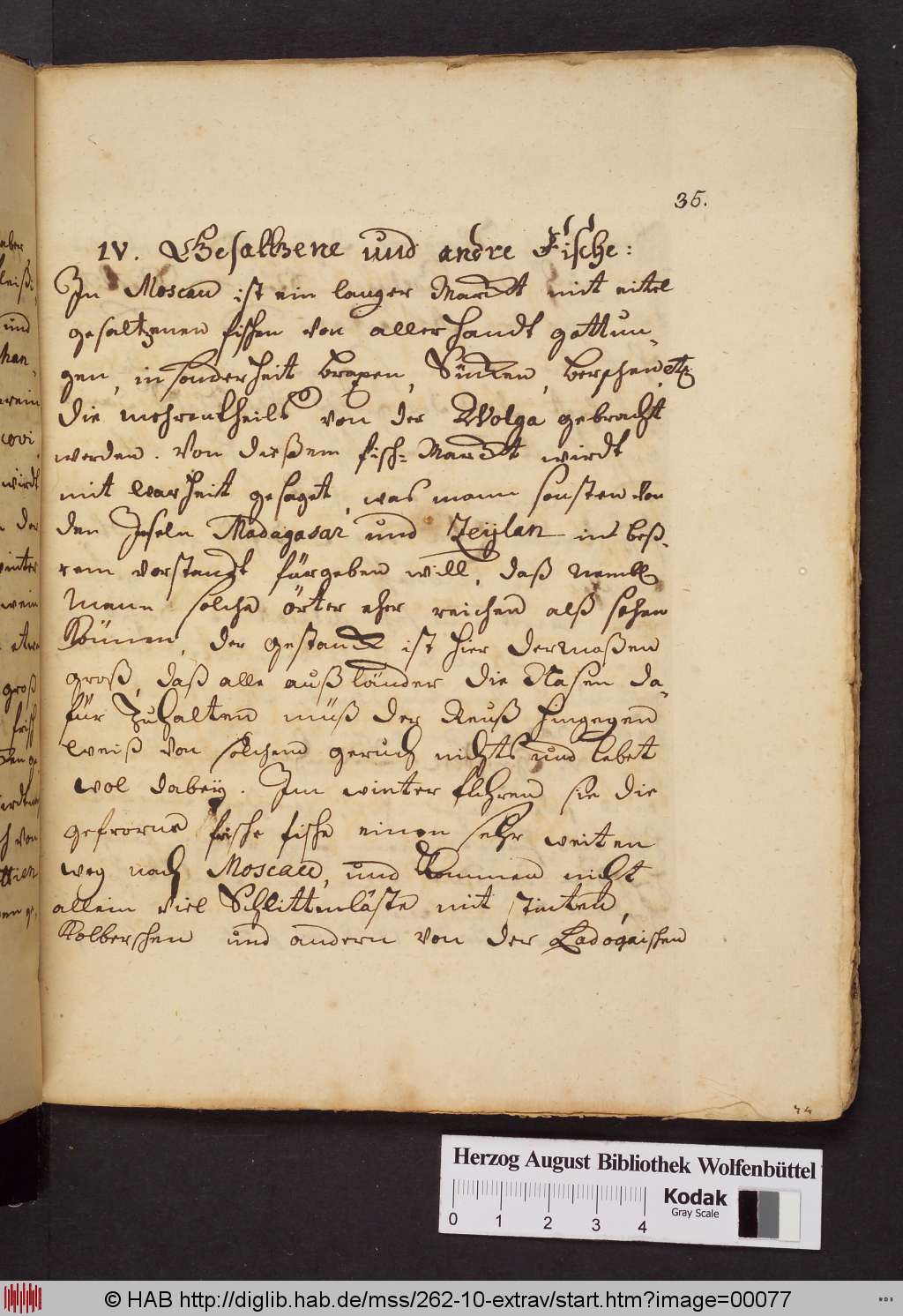http://diglib.hab.de/mss/262-10-extrav/00077.jpg