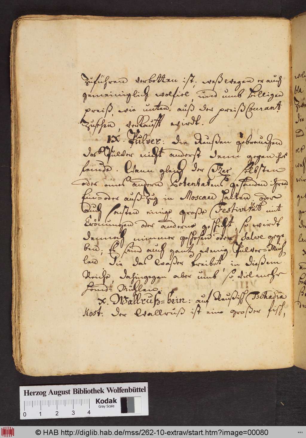 http://diglib.hab.de/mss/262-10-extrav/00080.jpg