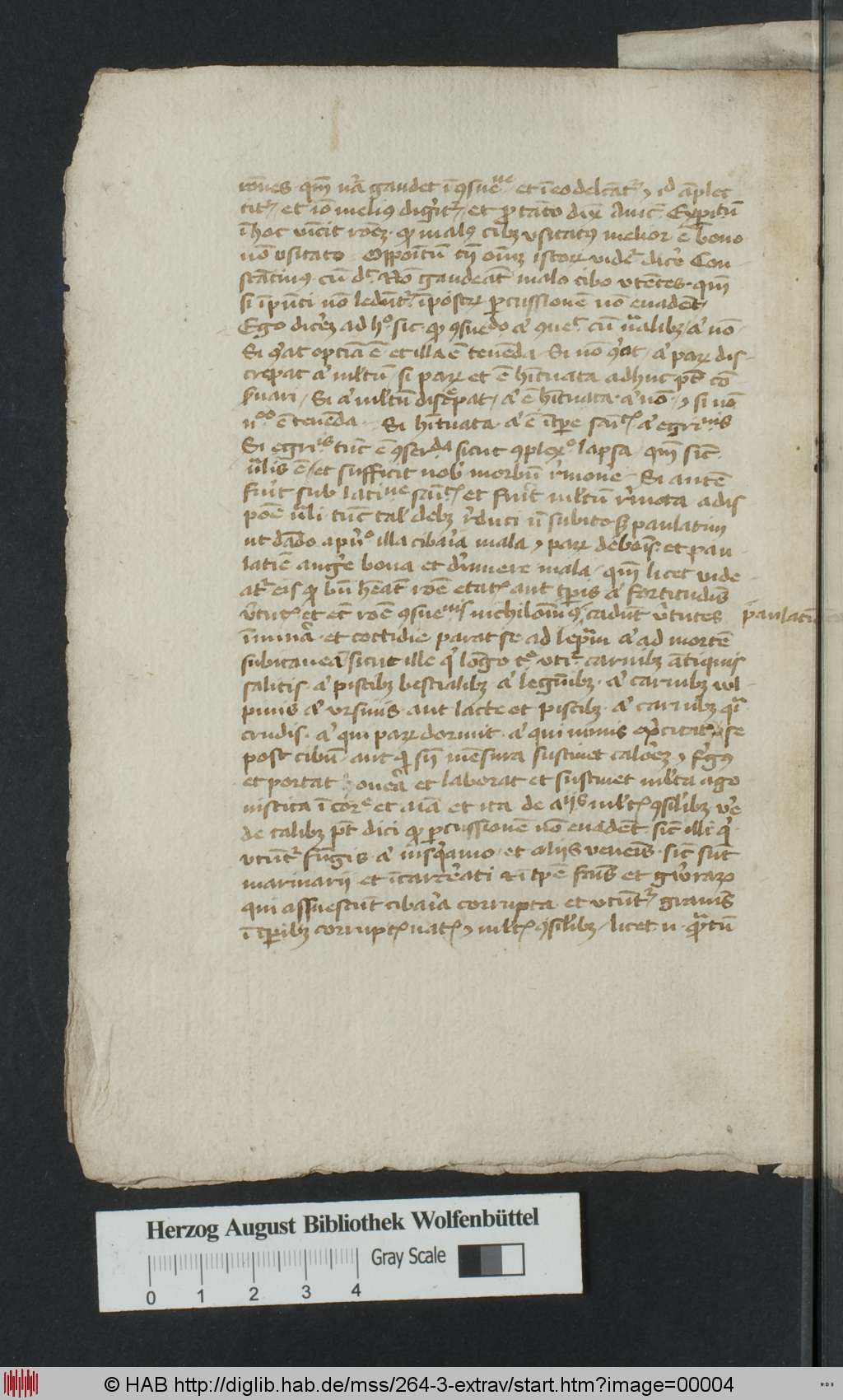 http://diglib.hab.de/mss/264-3-extrav/00004.jpg
