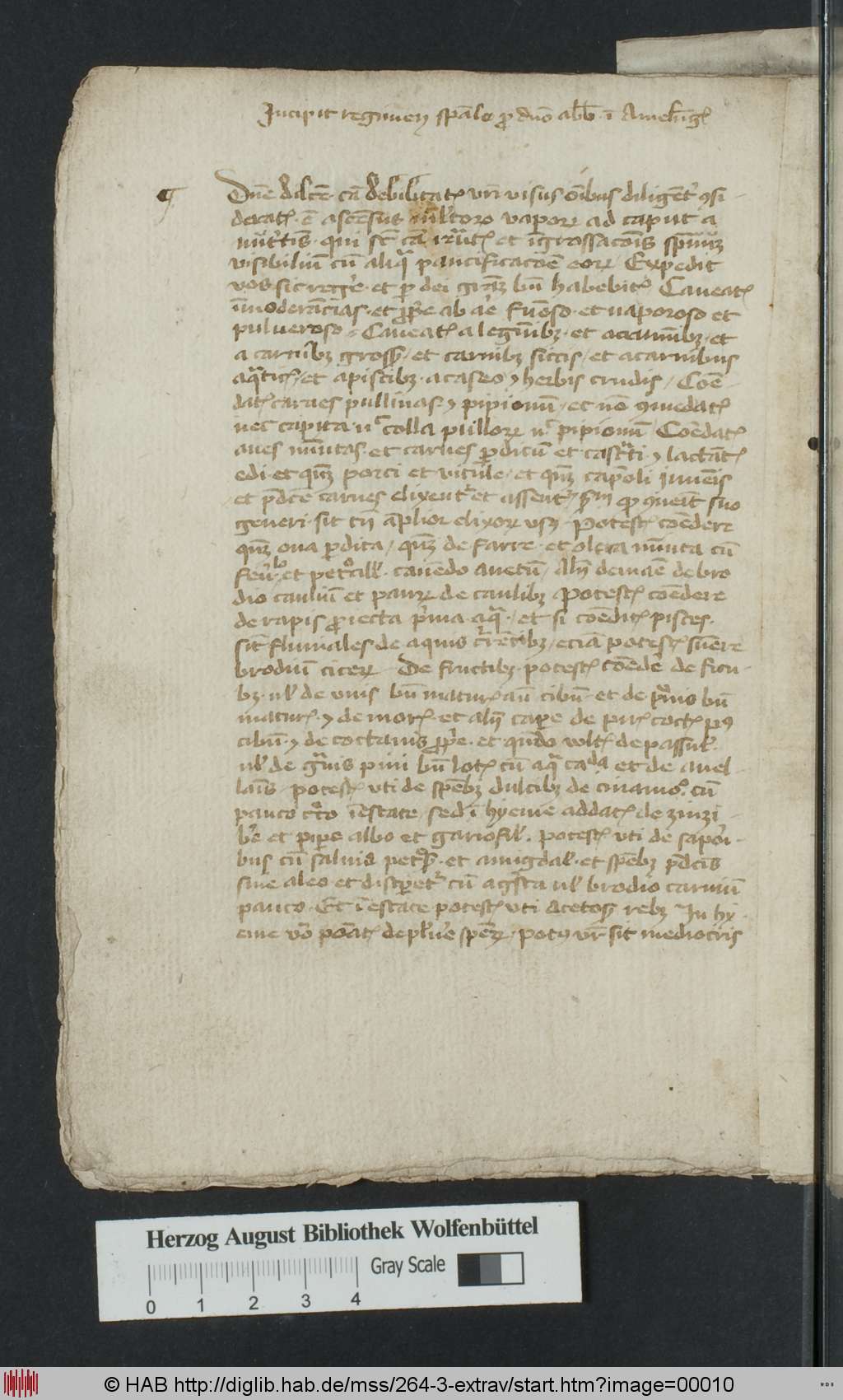 http://diglib.hab.de/mss/264-3-extrav/00010.jpg