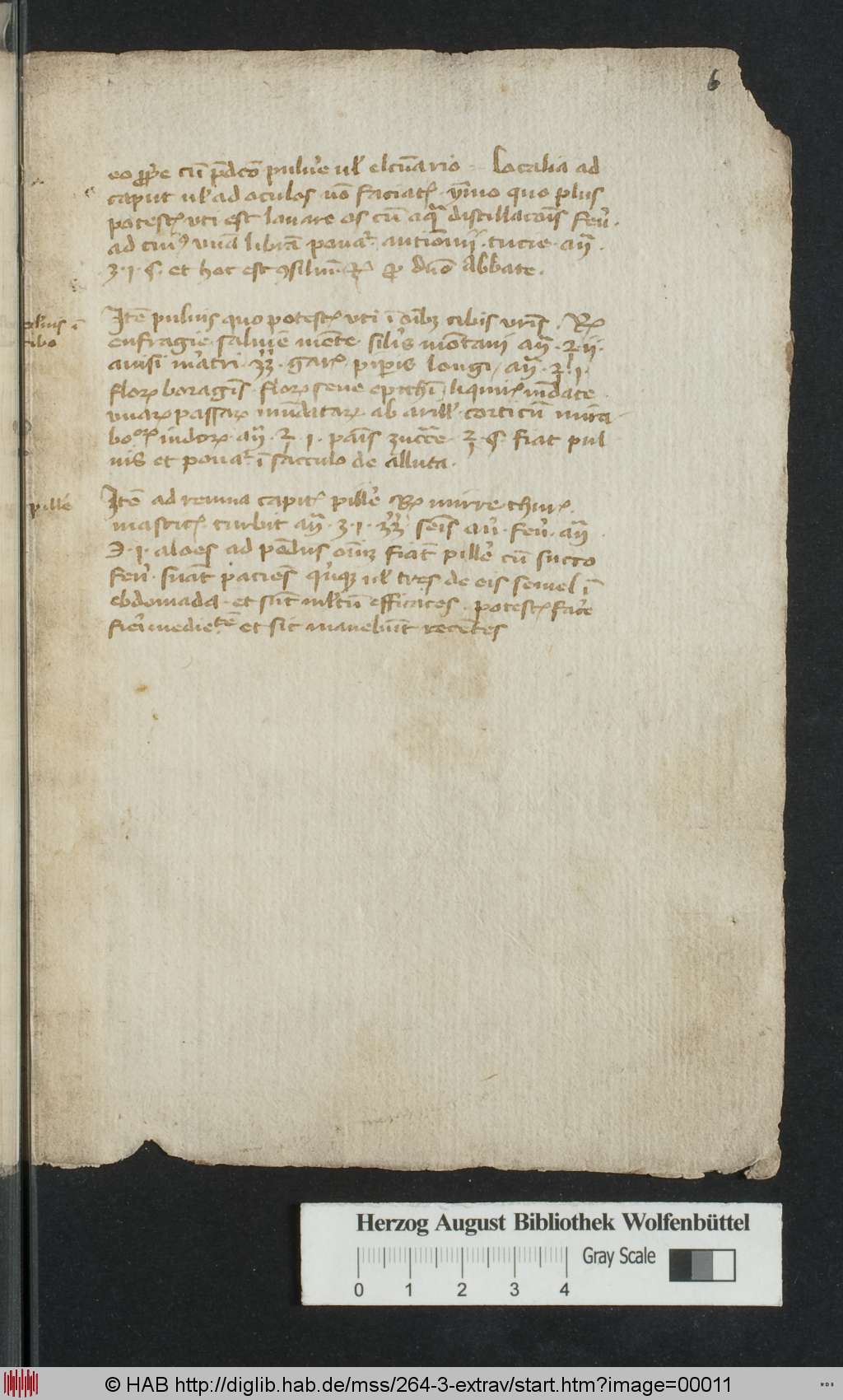 http://diglib.hab.de/mss/264-3-extrav/00011.jpg