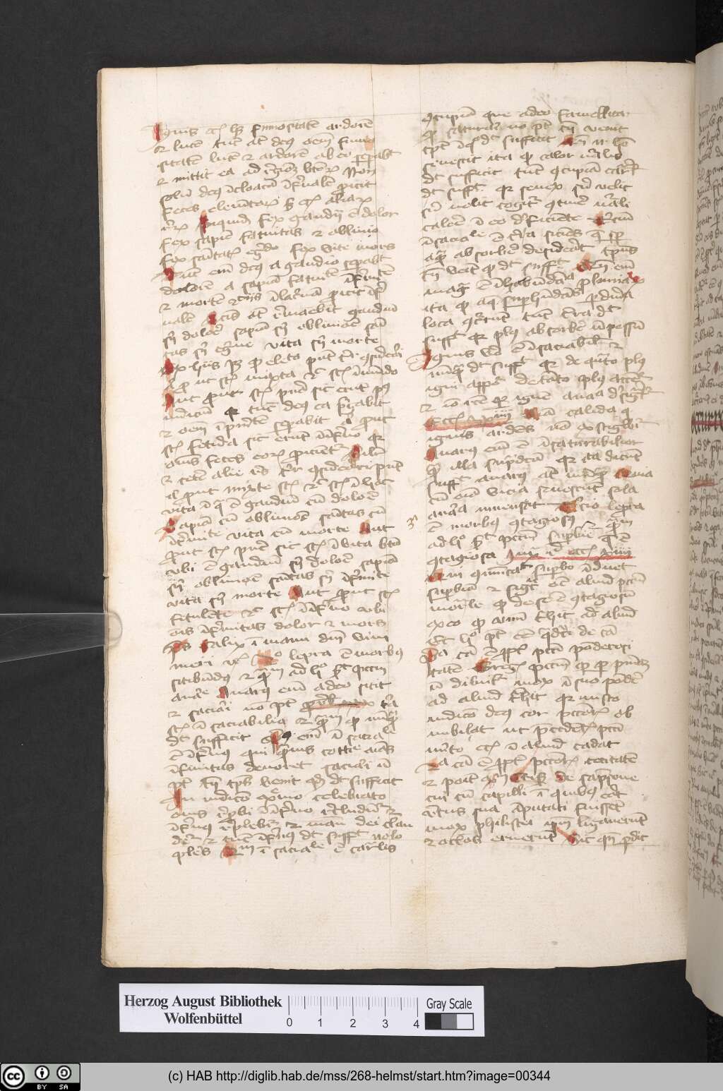 http://diglib.hab.de/mss/268-helmst/00344.jpg