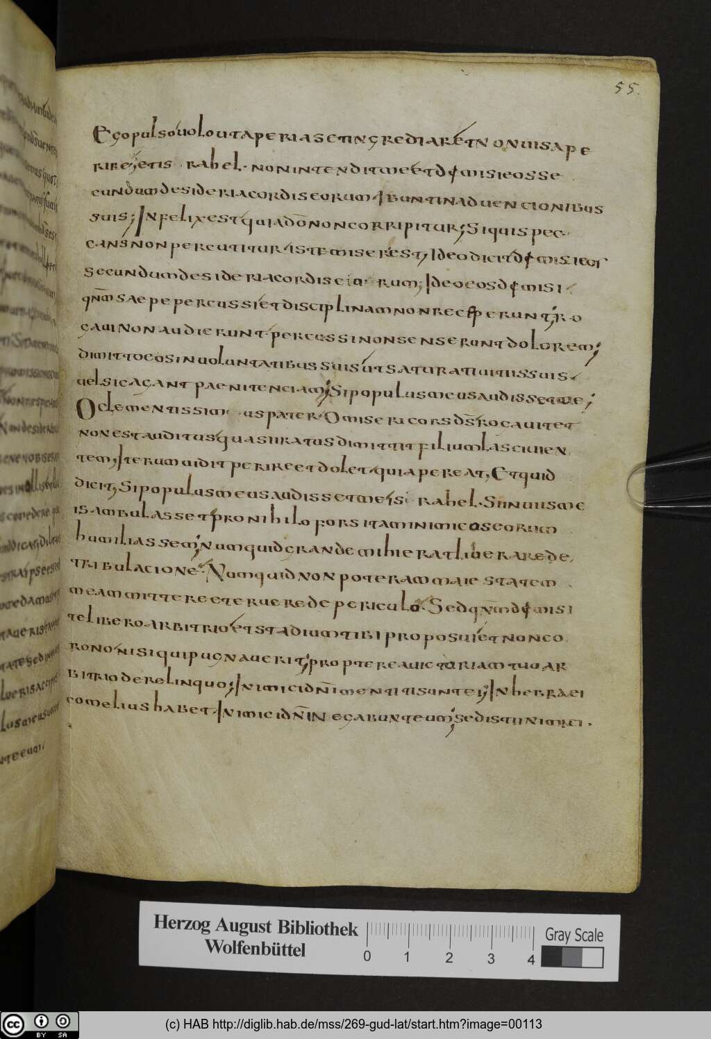 http://diglib.hab.de/mss/269-gud-lat/00113.jpg