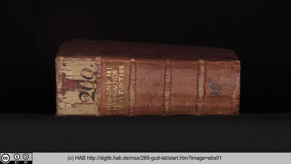 http://diglib.hab.de/mss/269-gud-lat/ebs01.jpg