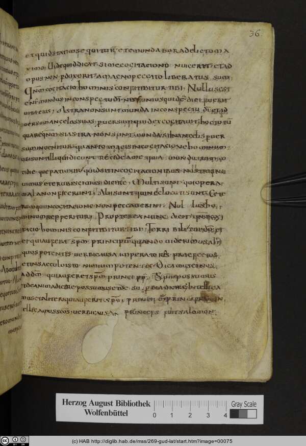 http://diglib.hab.de/mss/269-gud-lat/min/00075.jpg