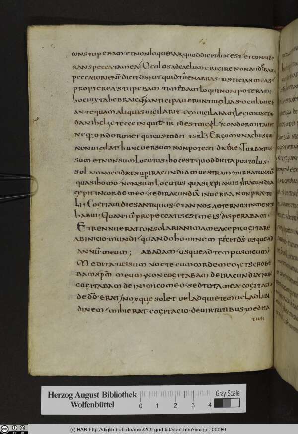 http://diglib.hab.de/mss/269-gud-lat/min/00080.jpg