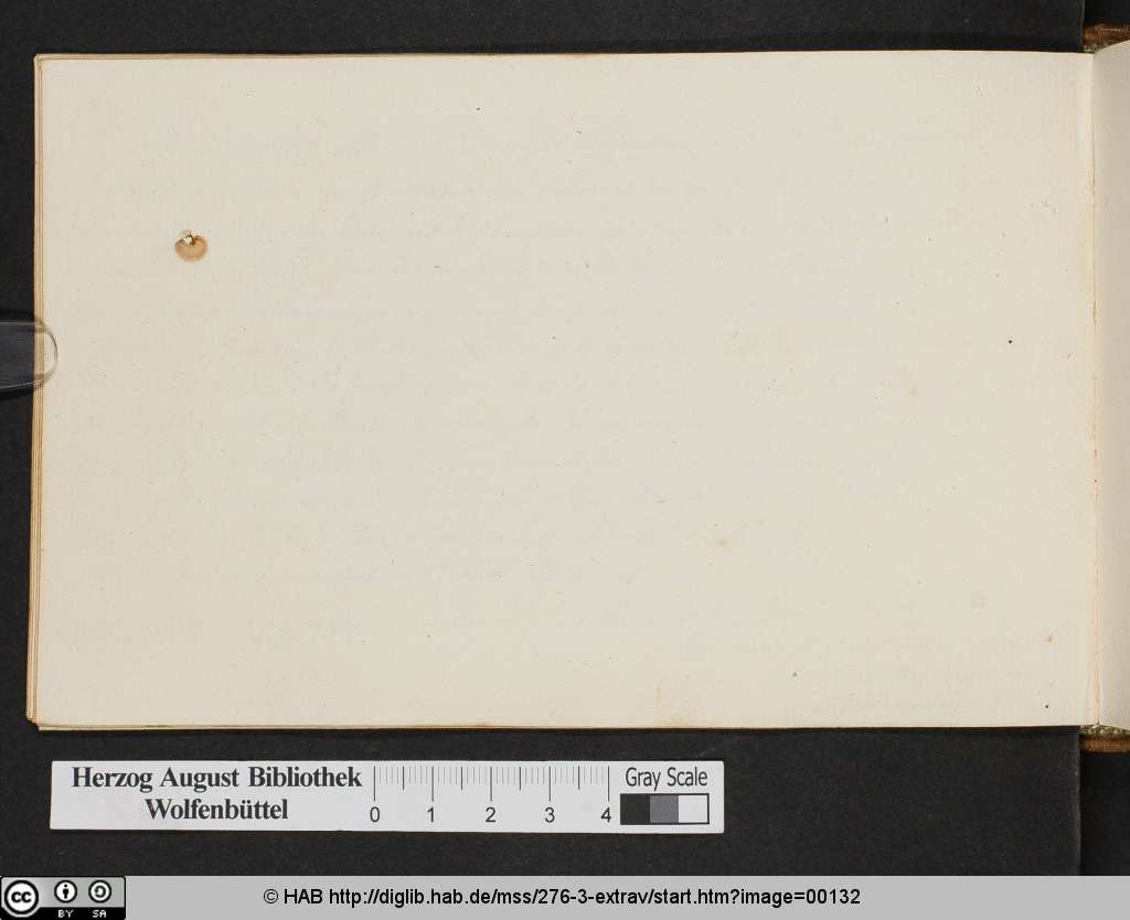 http://diglib.hab.de/mss/276-3-extrav/00132.jpg