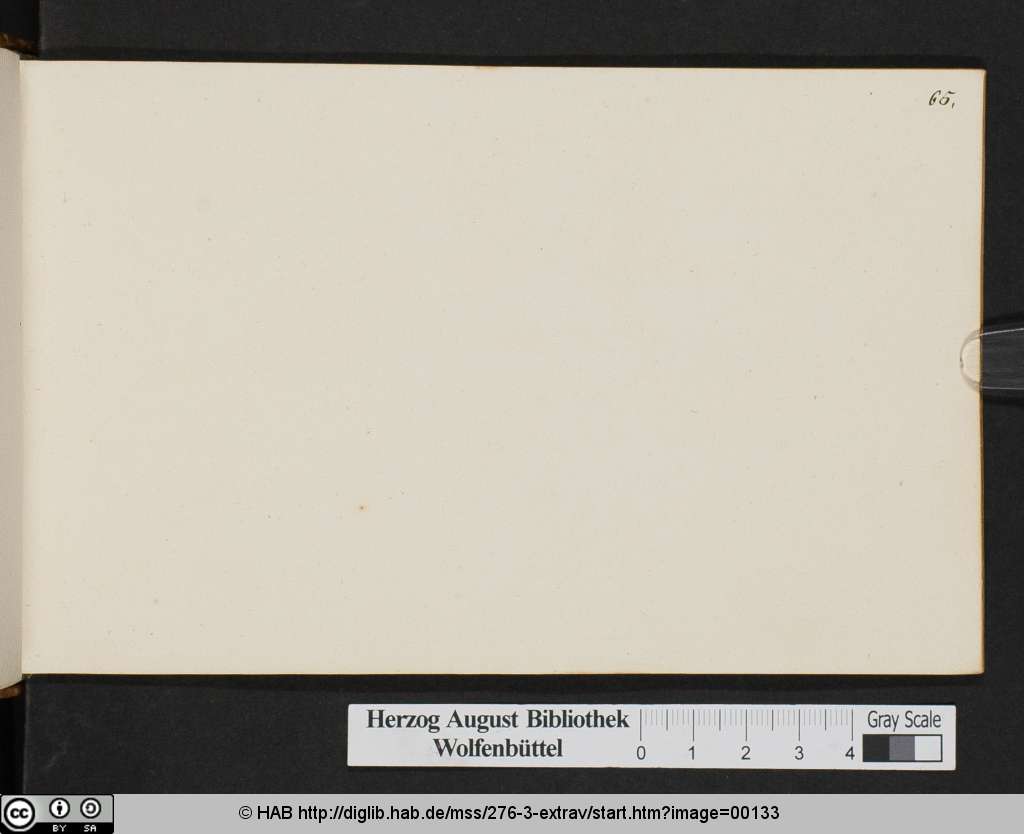 http://diglib.hab.de/mss/276-3-extrav/00133.jpg