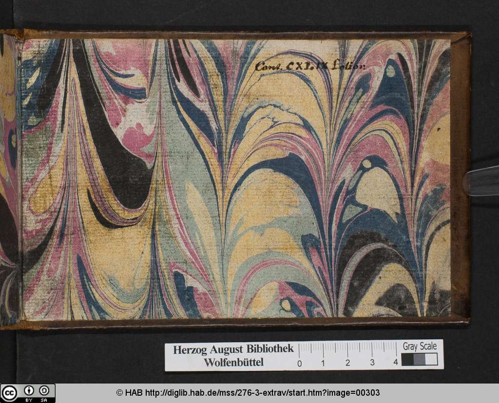 http://diglib.hab.de/mss/276-3-extrav/00303.jpg