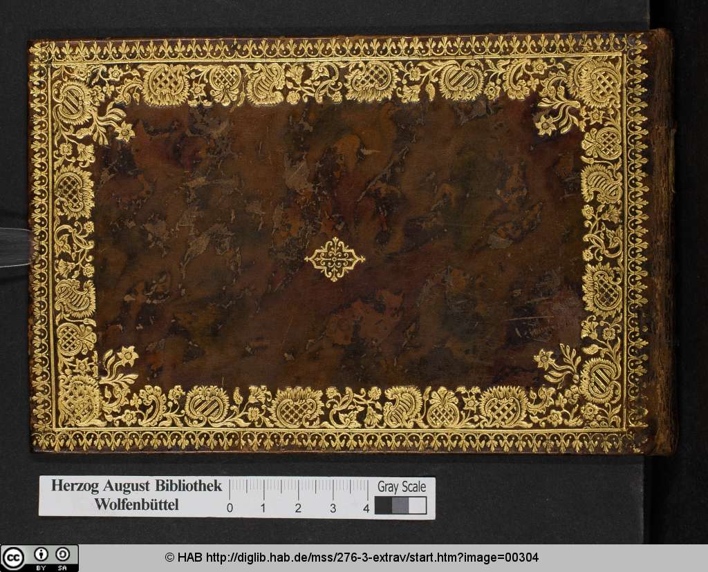 http://diglib.hab.de/mss/276-3-extrav/00304.jpg