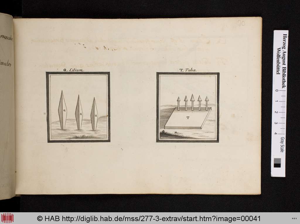 http://diglib.hab.de/mss/277-3-extrav/00041.jpg