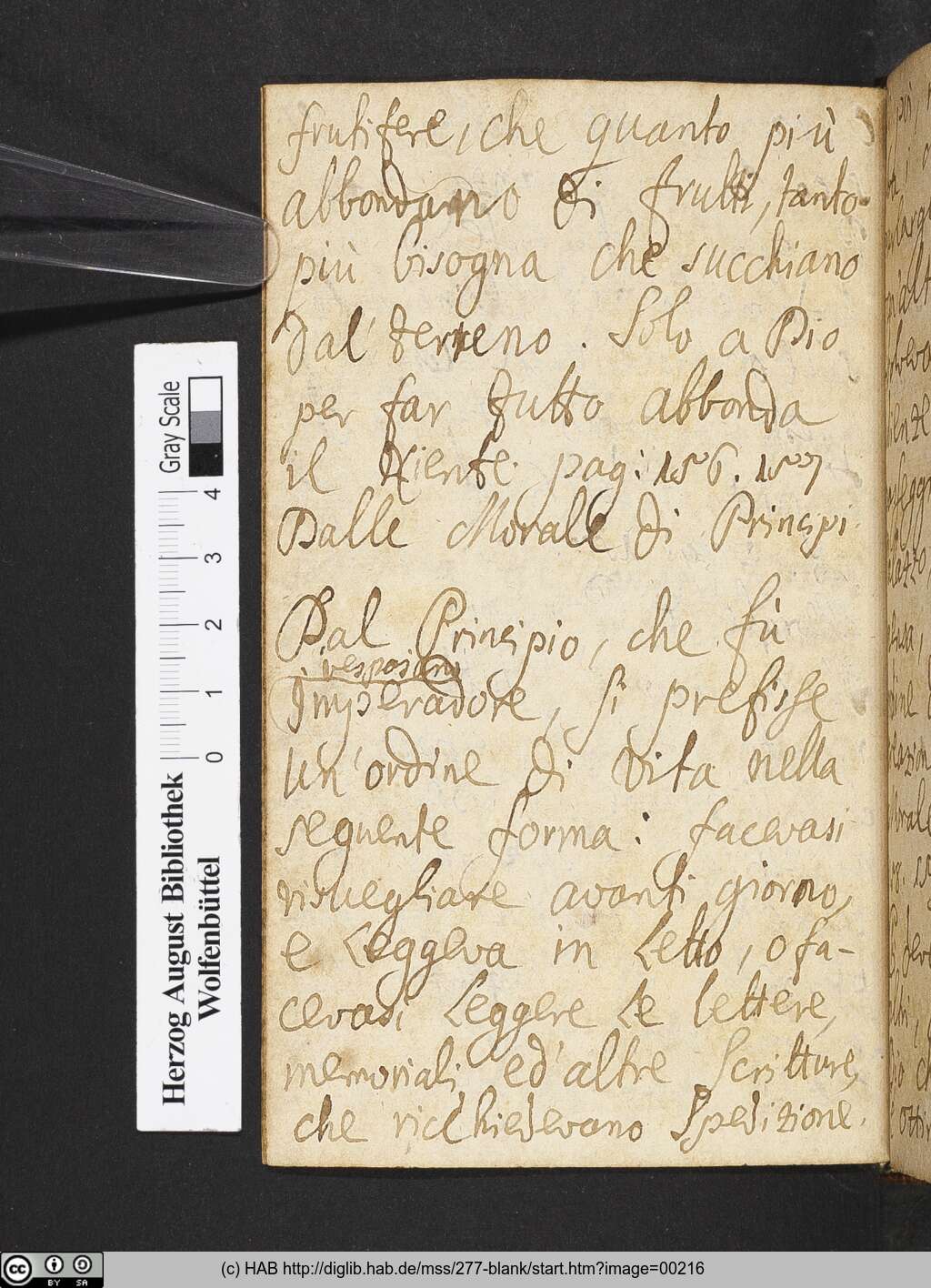 http://diglib.hab.de/mss/277-blank/00216.jpg