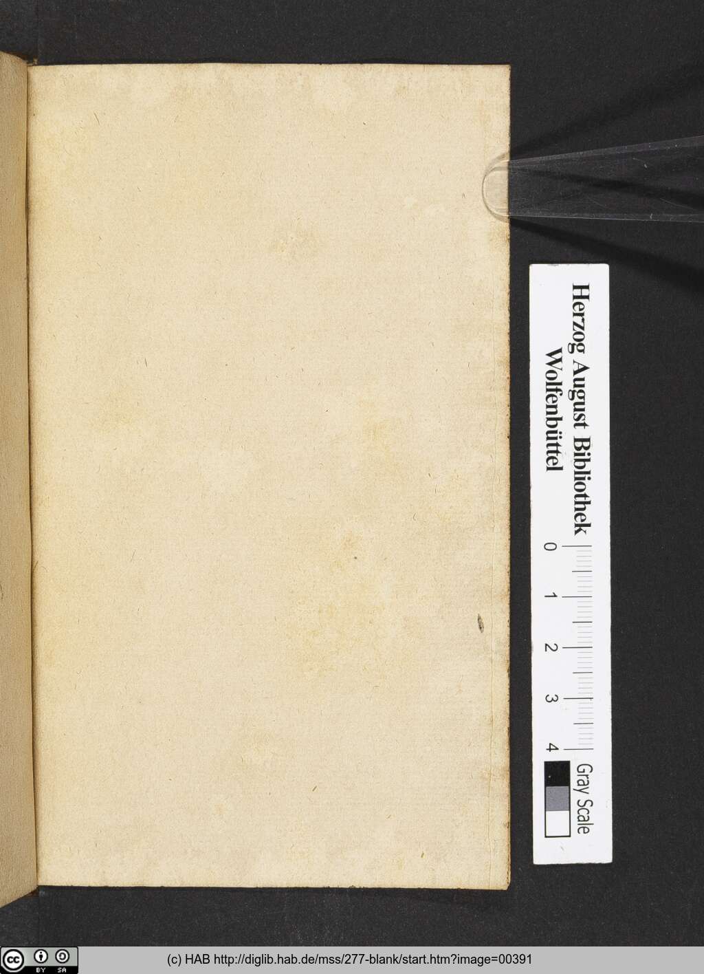 http://diglib.hab.de/mss/277-blank/00391.jpg