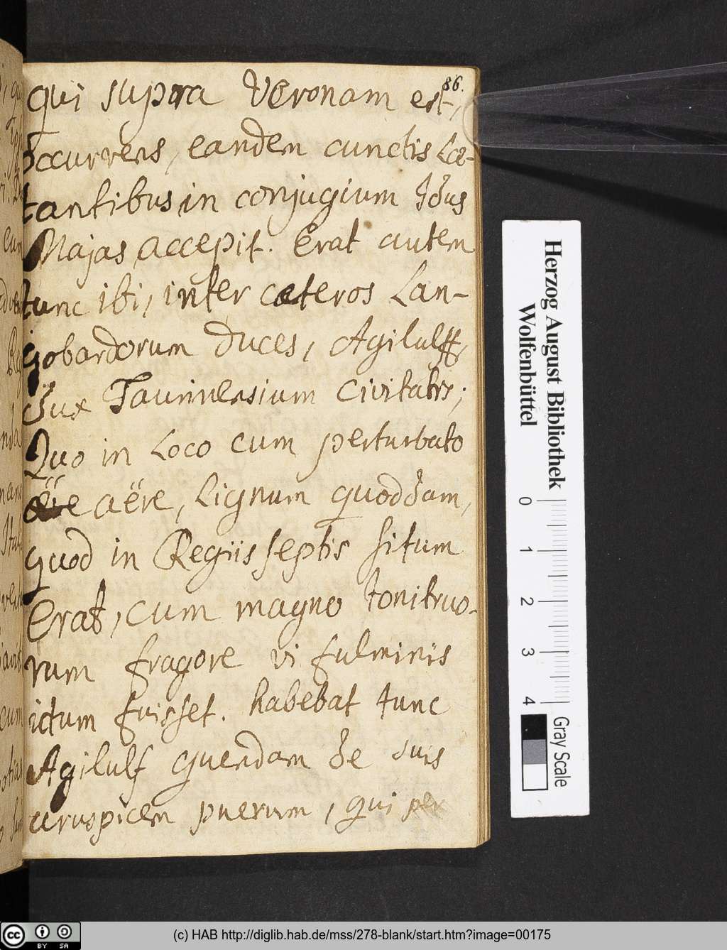 http://diglib.hab.de/mss/278-blank/00175.jpg