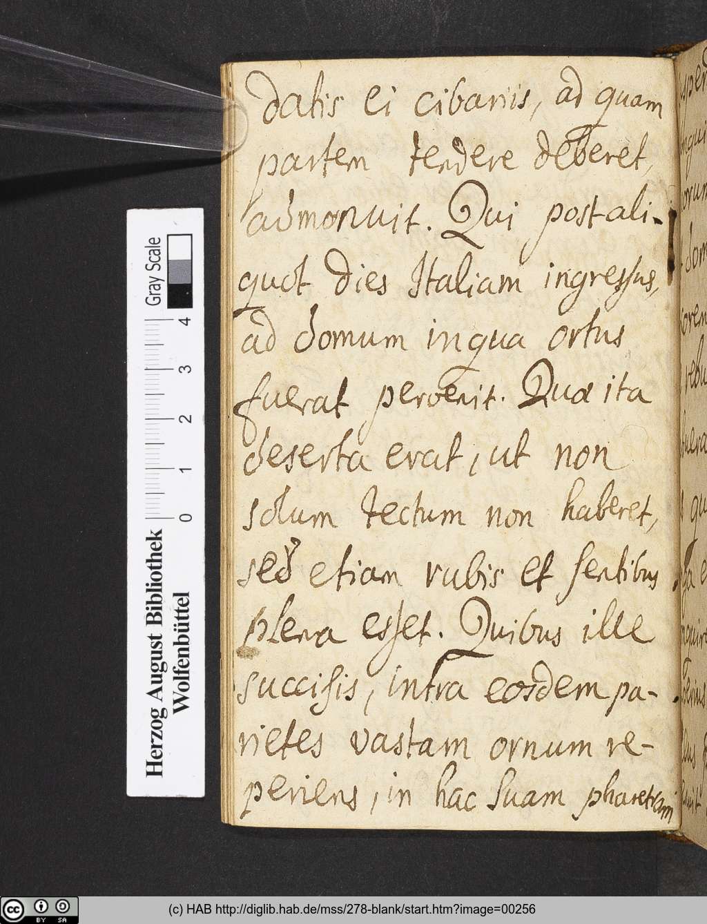 http://diglib.hab.de/mss/278-blank/00256.jpg