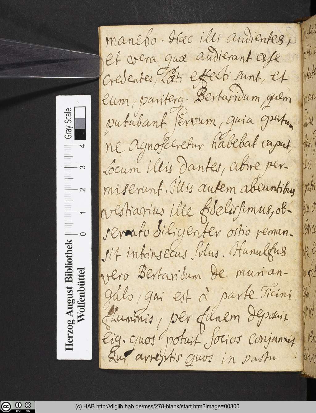 http://diglib.hab.de/mss/278-blank/00300.jpg
