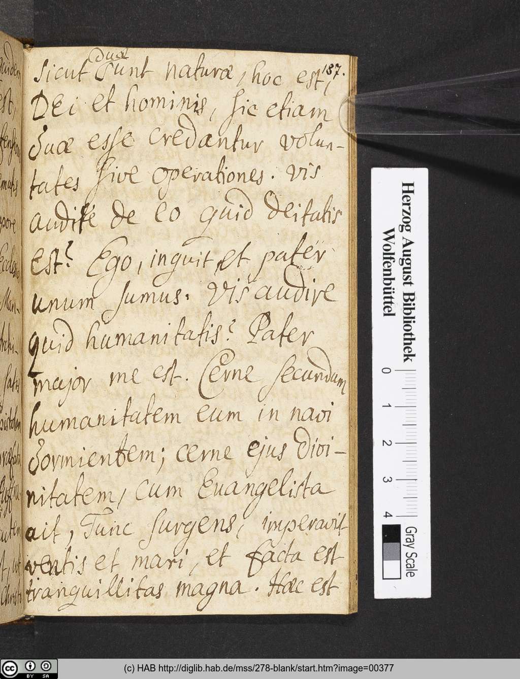 http://diglib.hab.de/mss/278-blank/00377.jpg