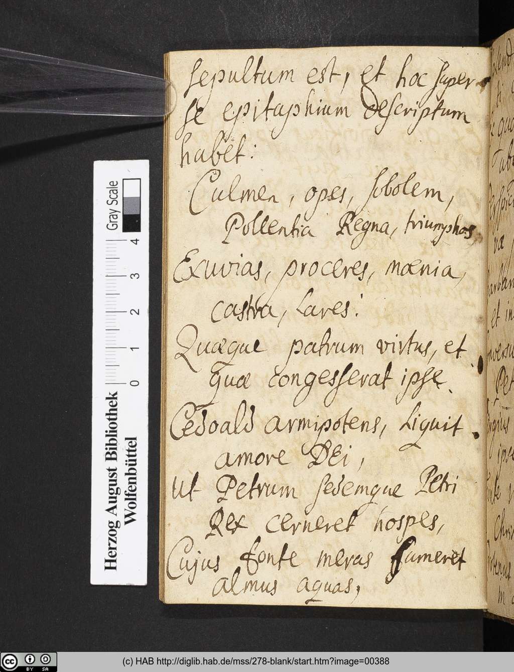 http://diglib.hab.de/mss/278-blank/00388.jpg