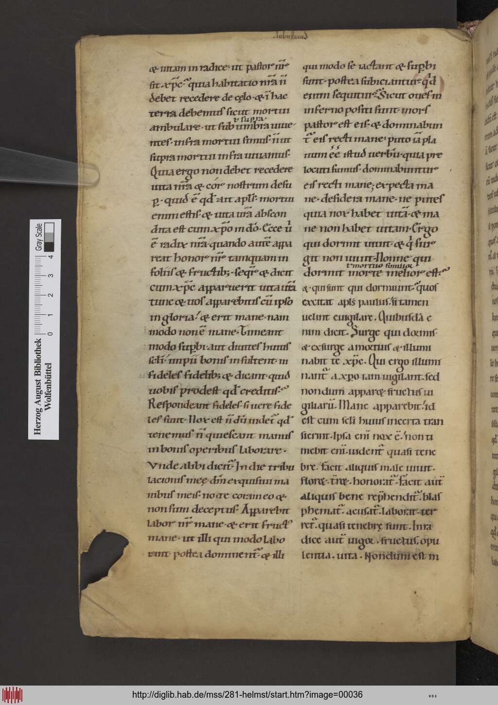 http://diglib.hab.de/mss/281-helmst/00036.jpg