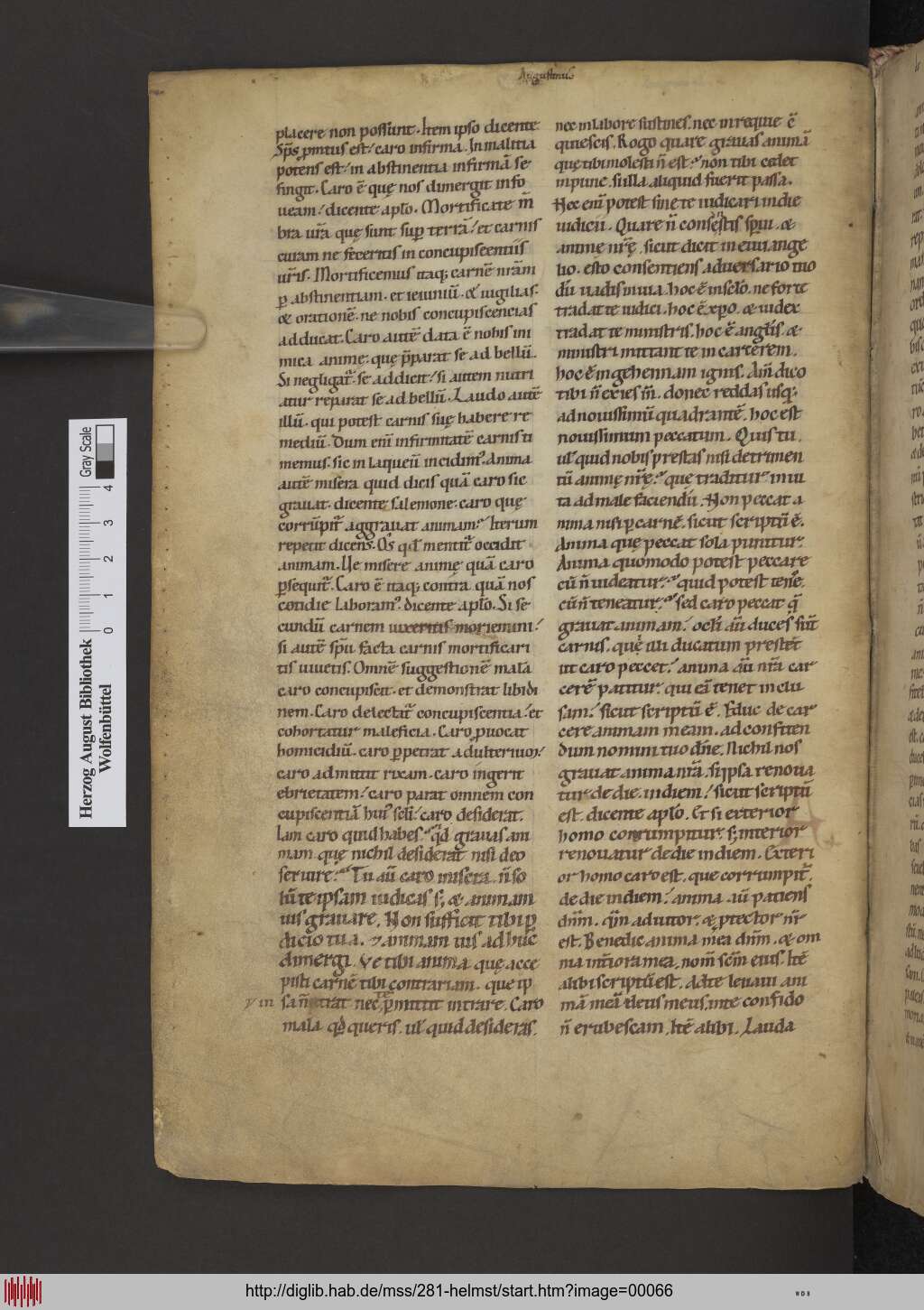 http://diglib.hab.de/mss/281-helmst/00066.jpg