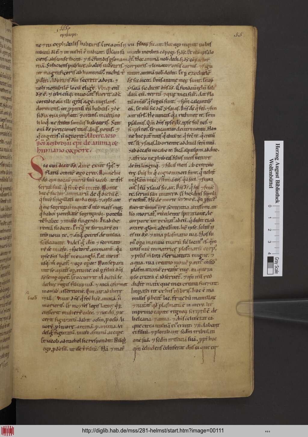 http://diglib.hab.de/mss/281-helmst/00111.jpg