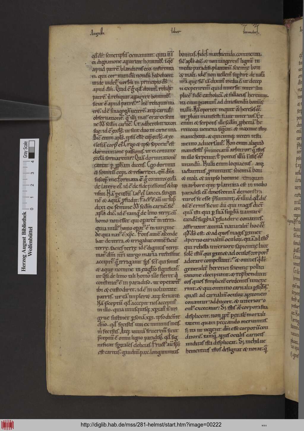 http://diglib.hab.de/mss/281-helmst/00222.jpg