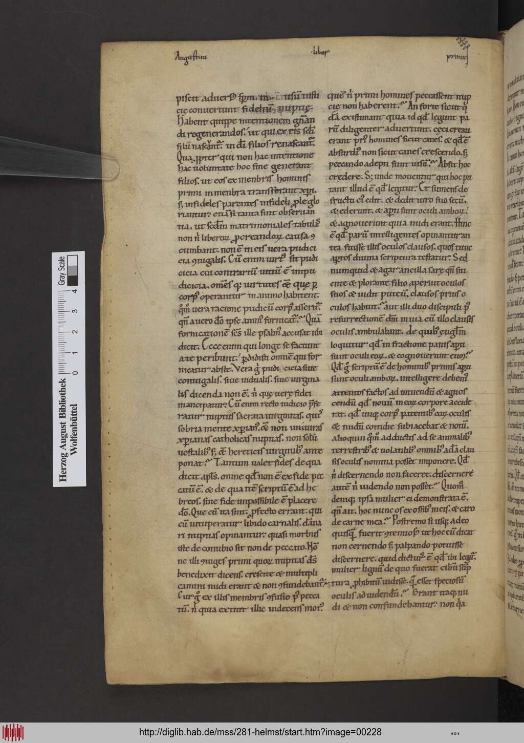 http://diglib.hab.de/mss/281-helmst/00228.jpg