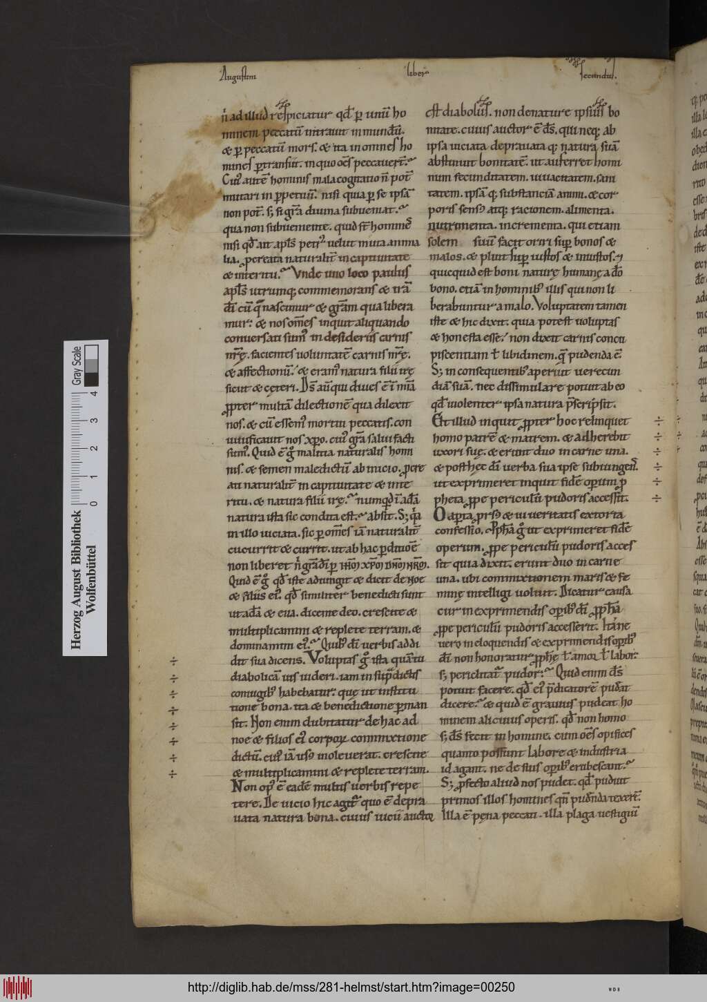 http://diglib.hab.de/mss/281-helmst/00250.jpg