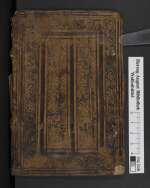 Cod. Guelf. 286.2 Extrav. — Kaspar Hegner: Musterbuch für Schreibmeister-Ornamente — Salzburg, 1541