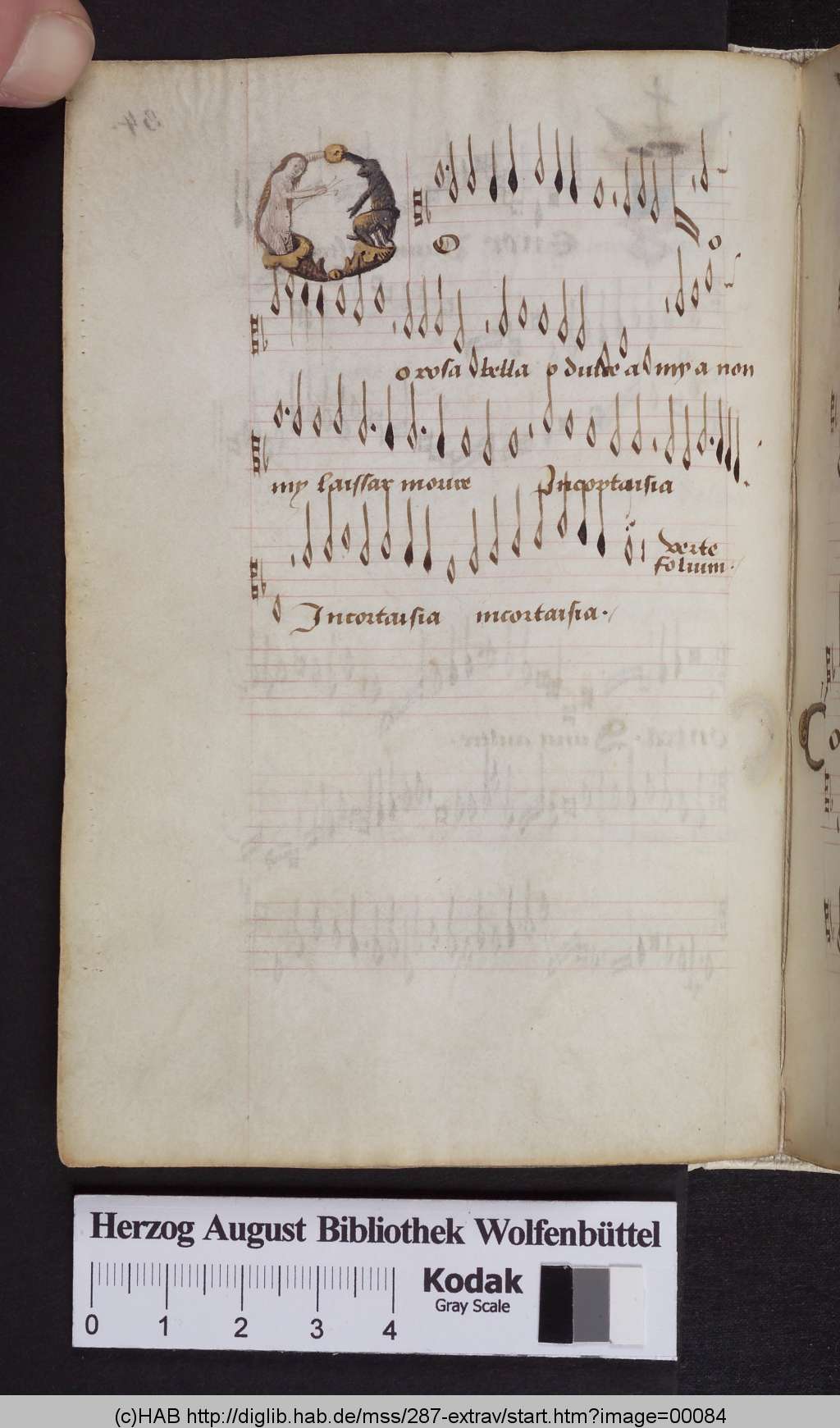 http://diglib.hab.de/mss/287-extrav/00084.jpg