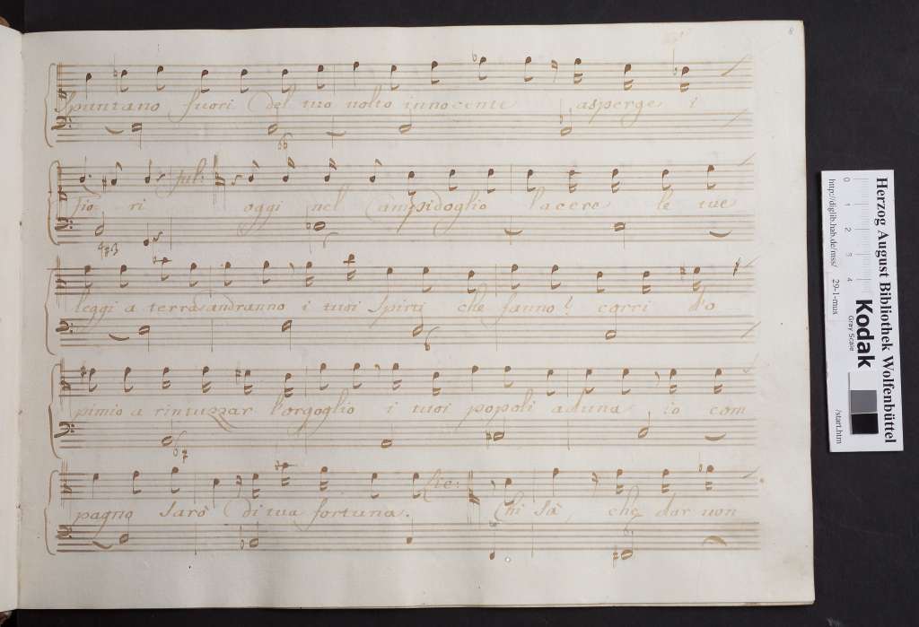 http://diglib.hab.de/mss/29-1-mus/00019.jpg