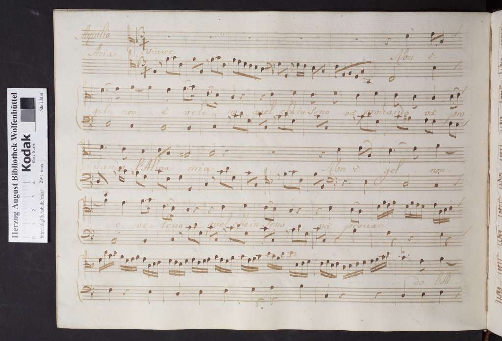 http://diglib.hab.de/mss/29-1-mus/00032.jpg