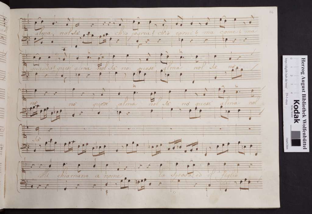 http://diglib.hab.de/mss/29-1-mus/00047.jpg