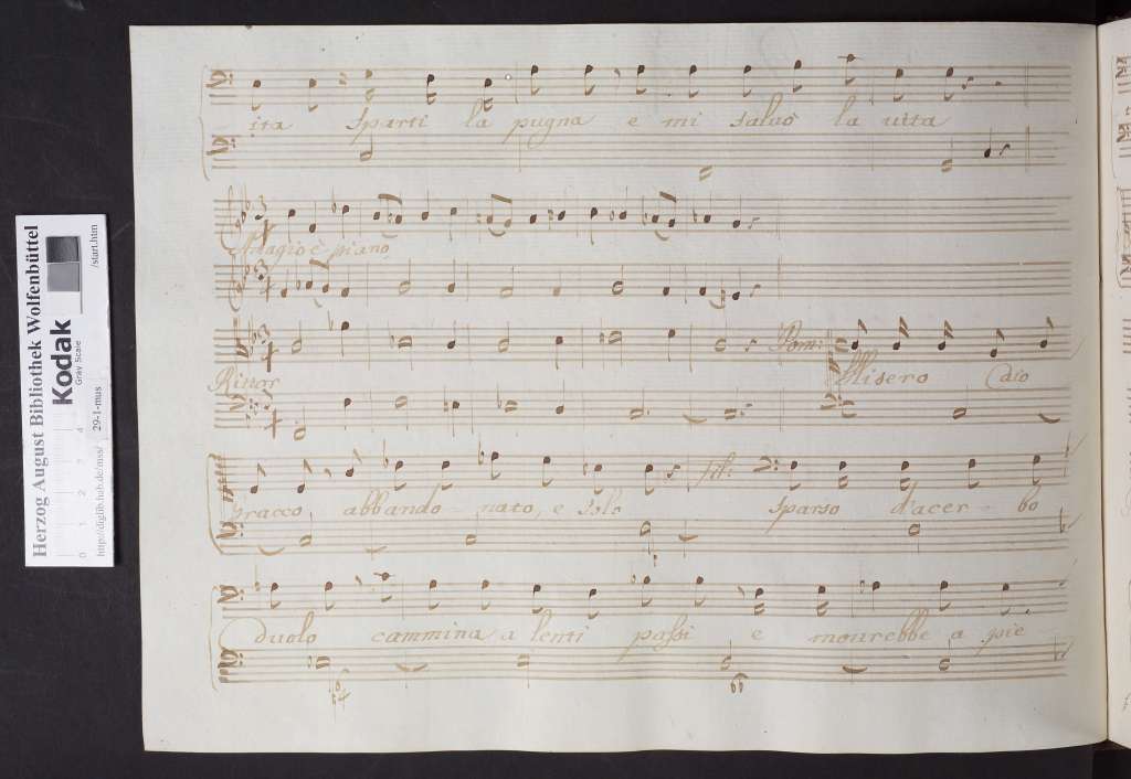 http://diglib.hab.de/mss/29-1-mus/00080.jpg