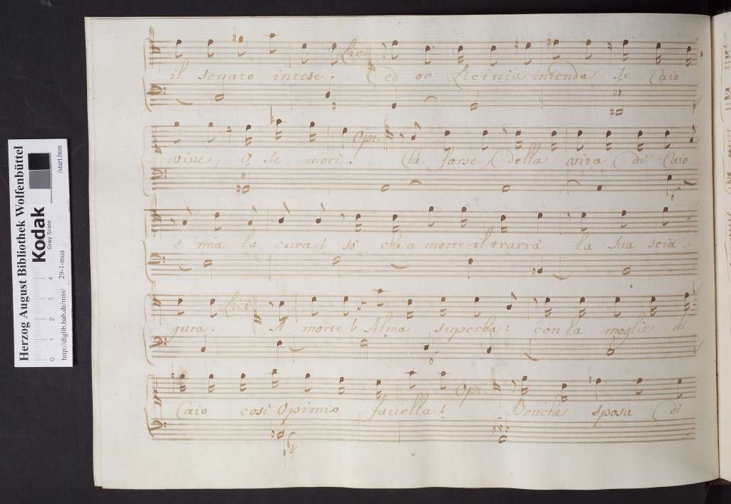 http://diglib.hab.de/mss/29-1-mus/00084.jpg
