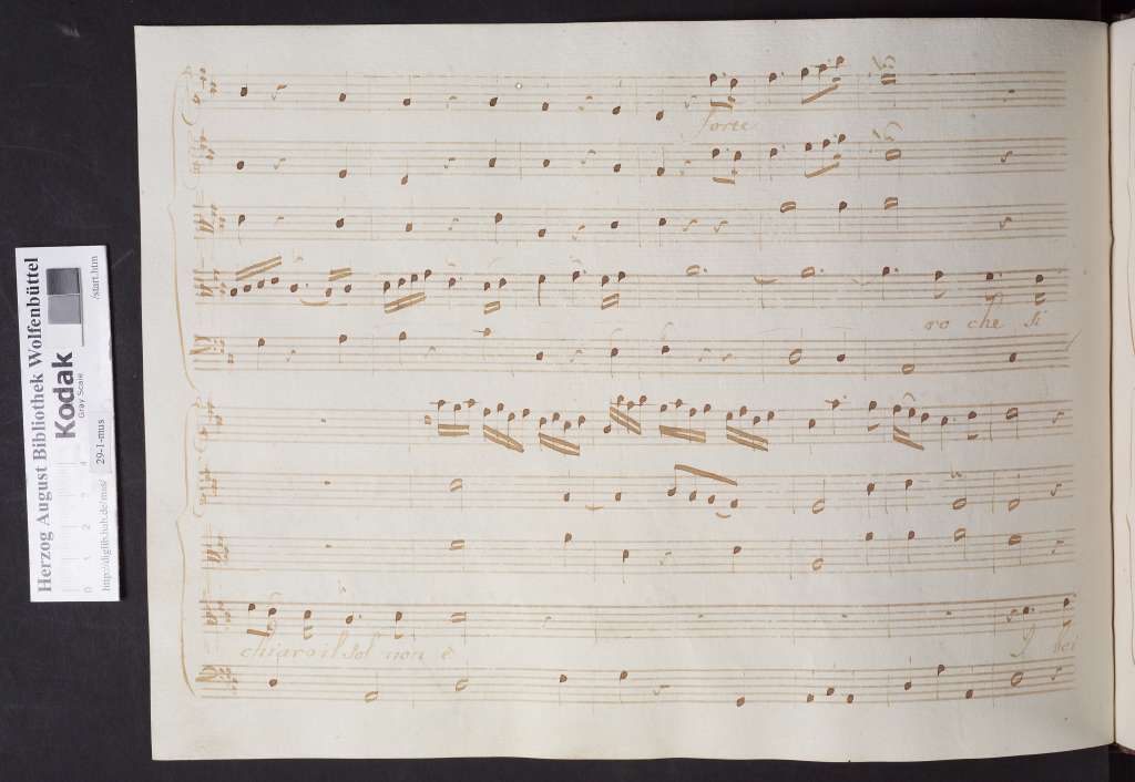 http://diglib.hab.de/mss/29-1-mus/00110.jpg