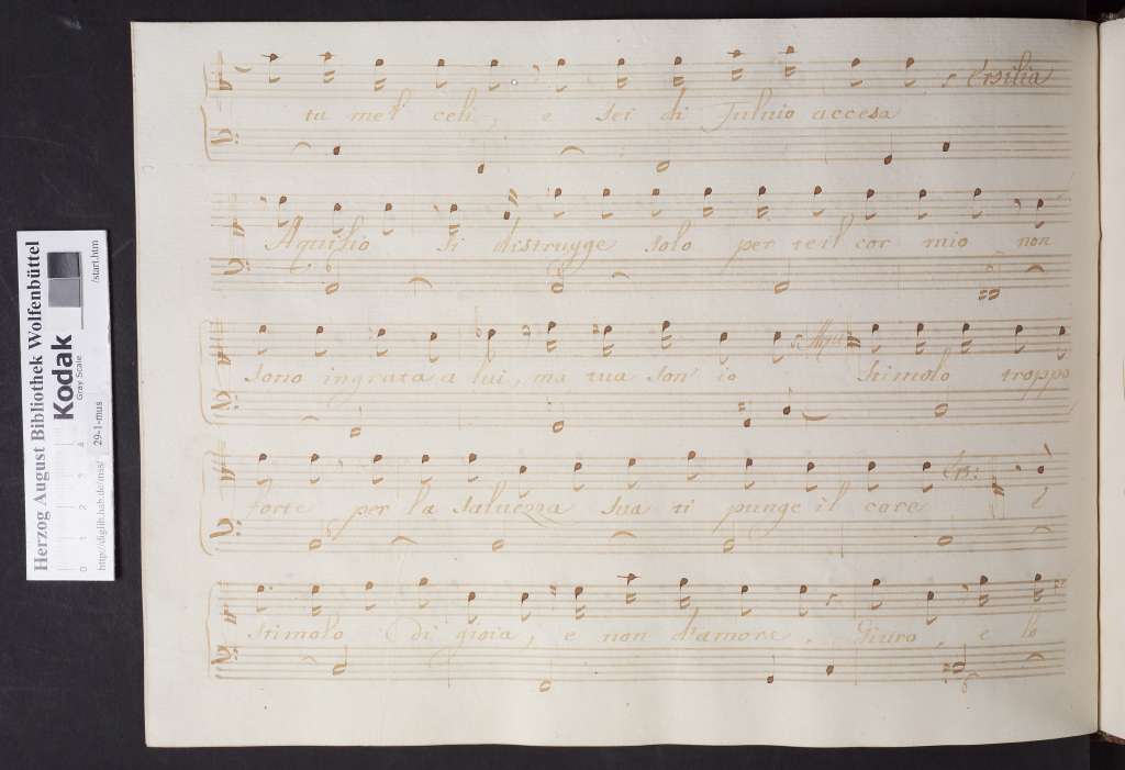 http://diglib.hab.de/mss/29-1-mus/00114.jpg