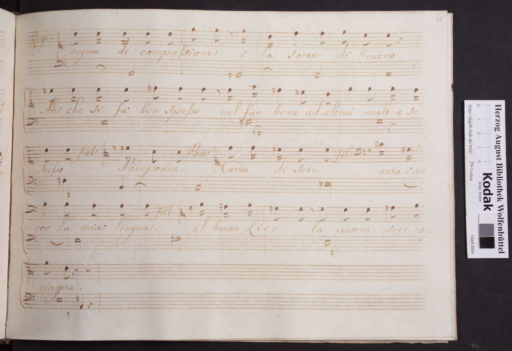 http://diglib.hab.de/mss/29-1-mus/00133.jpg