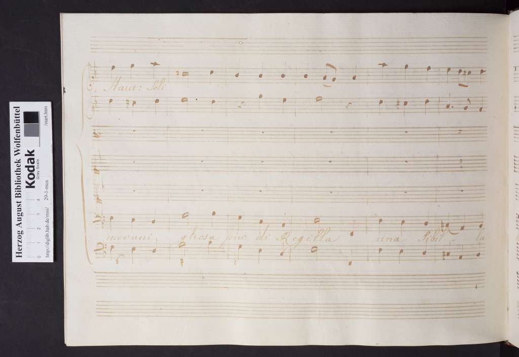 http://diglib.hab.de/mss/29-1-mus/00142.jpg