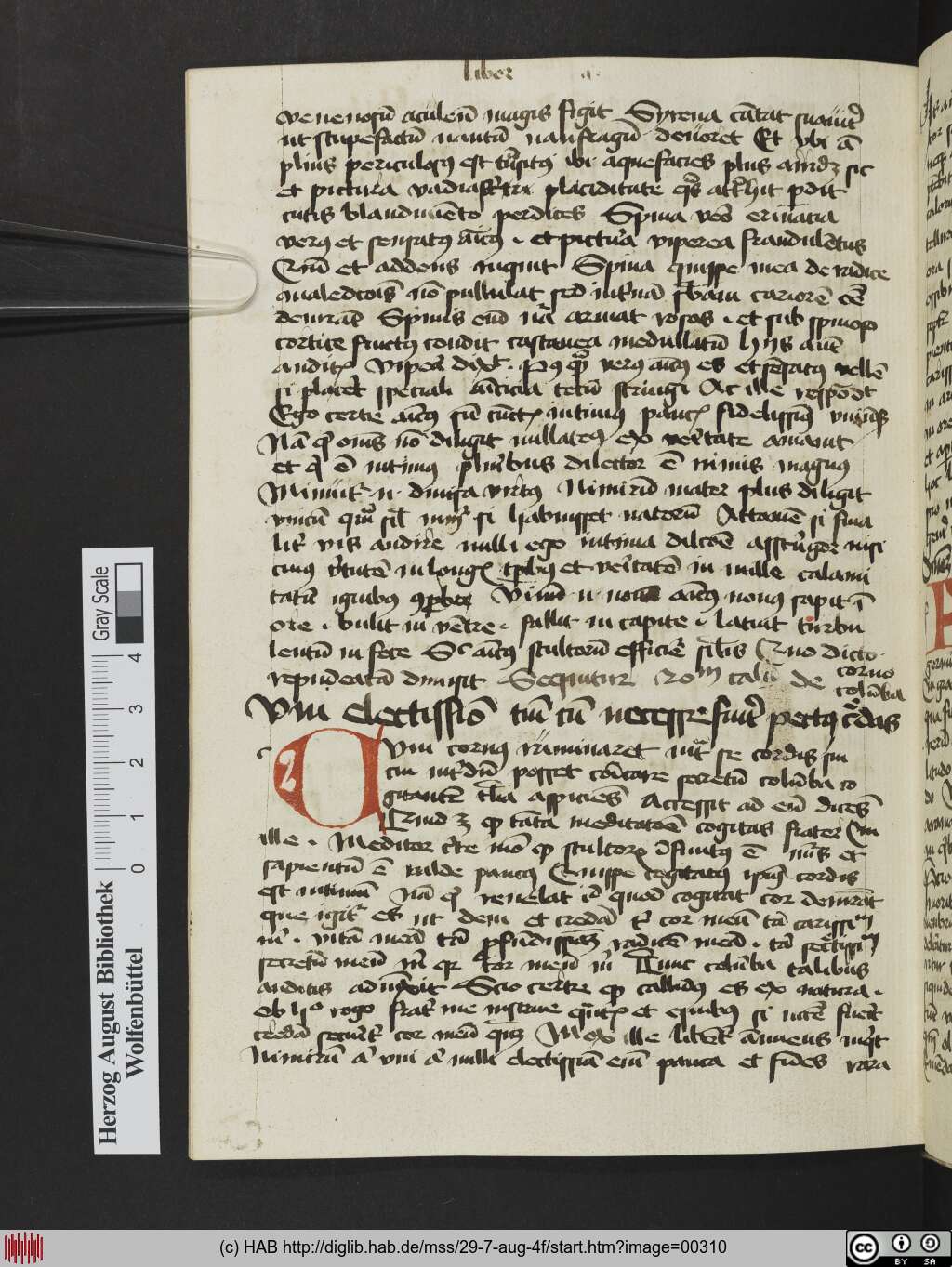 http://diglib.hab.de/mss/29-7-aug-4f/00310.jpg