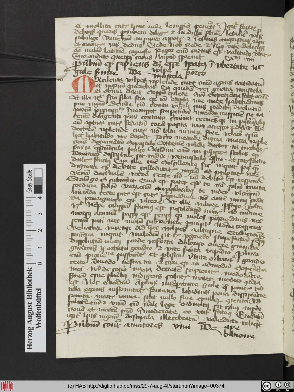 http://diglib.hab.de/mss/29-7-aug-4f/00374.jpg