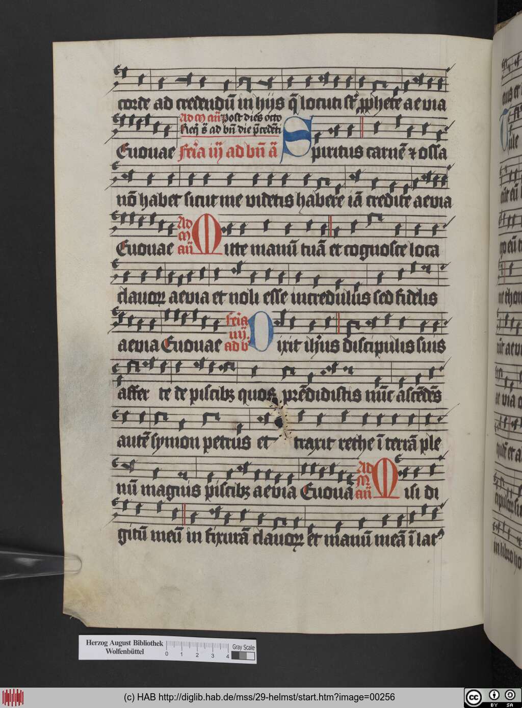 http://diglib.hab.de/mss/29-helmst/00256.jpg