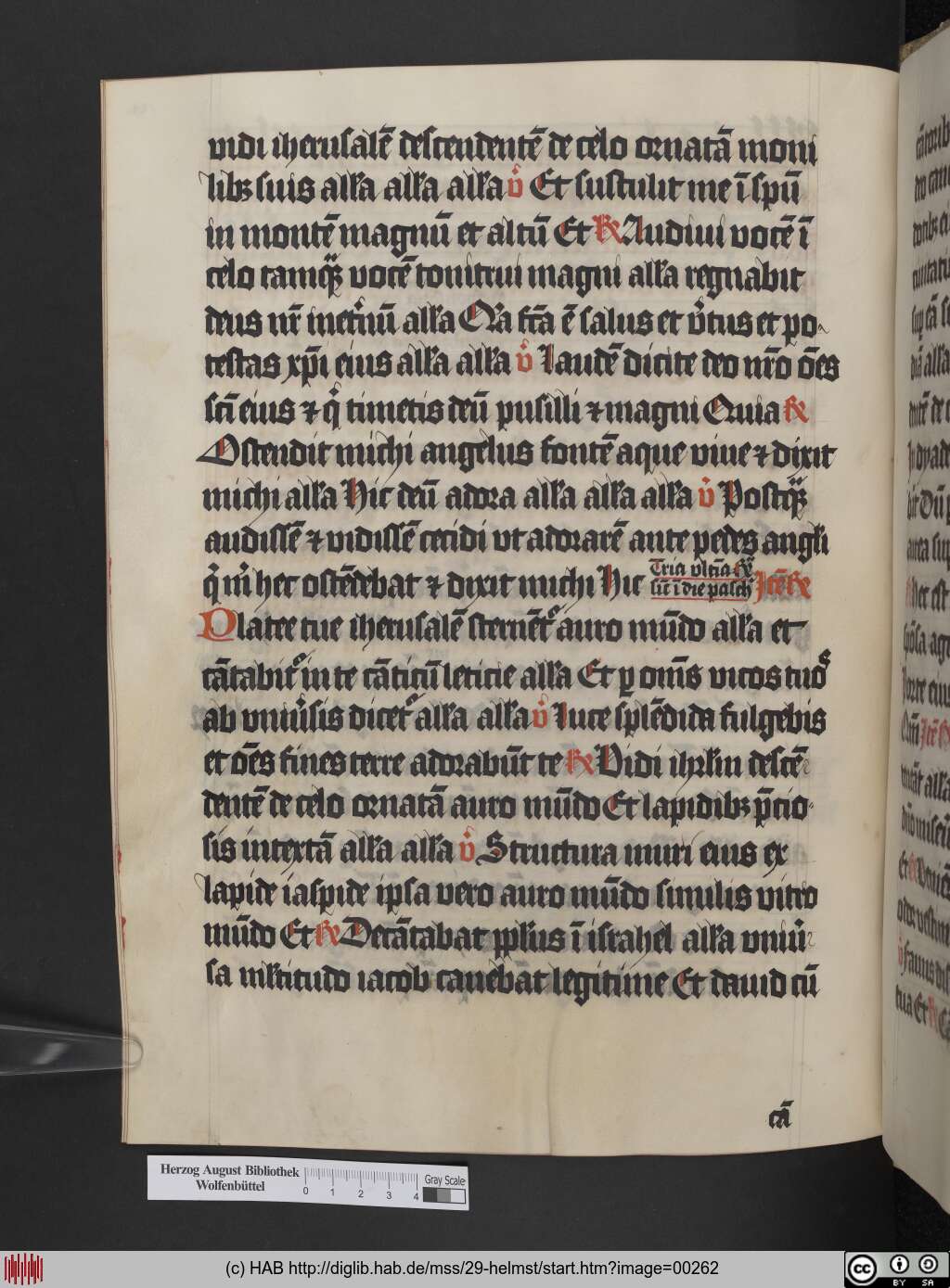 http://diglib.hab.de/mss/29-helmst/00262.jpg
