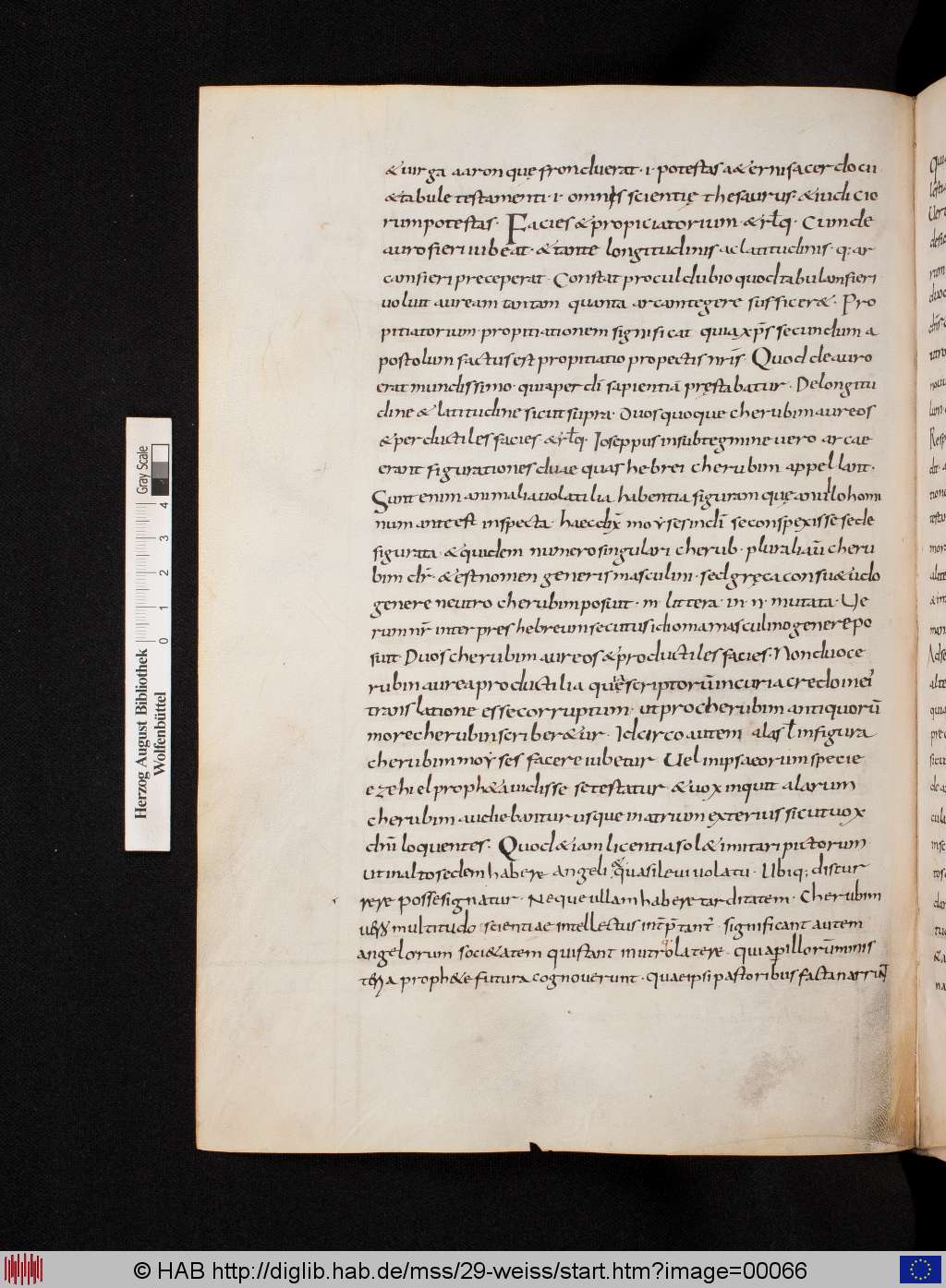 http://diglib.hab.de/mss/29-weiss/00066.jpg