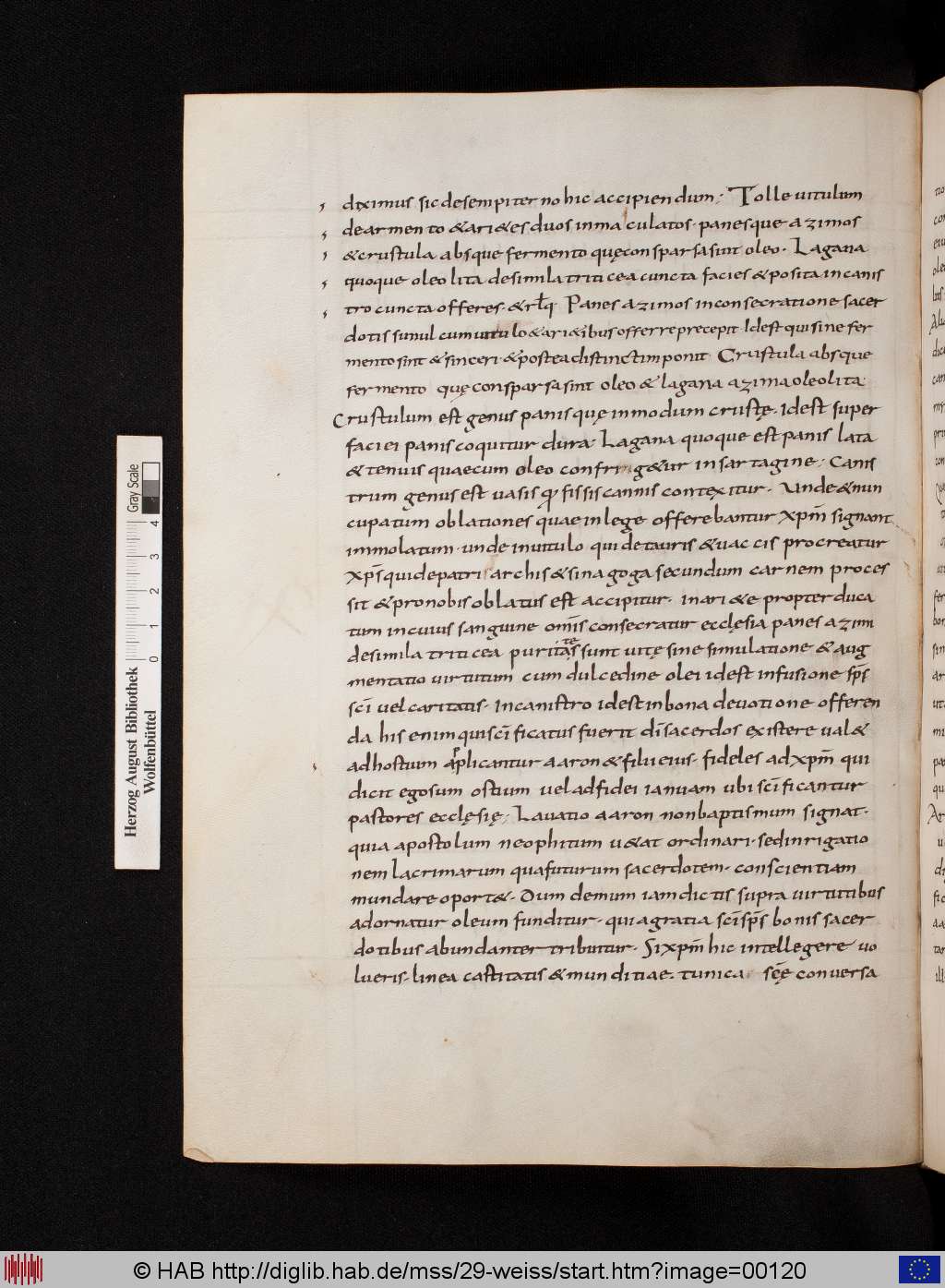 http://diglib.hab.de/mss/29-weiss/00120.jpg